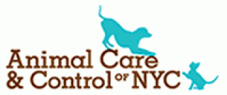 Animal Care and Control of NYC