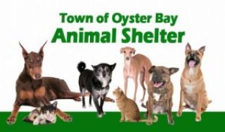 Town of Oyster Bay Animal Shelter