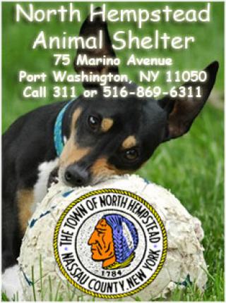 Town of North Hempstead Animal Shelter