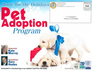 Home for the Holidays Pet Adoption Program